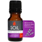 Soil Lavender Essential Oil