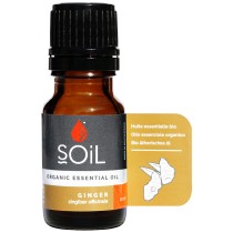 Soil Ginger Essential Oil